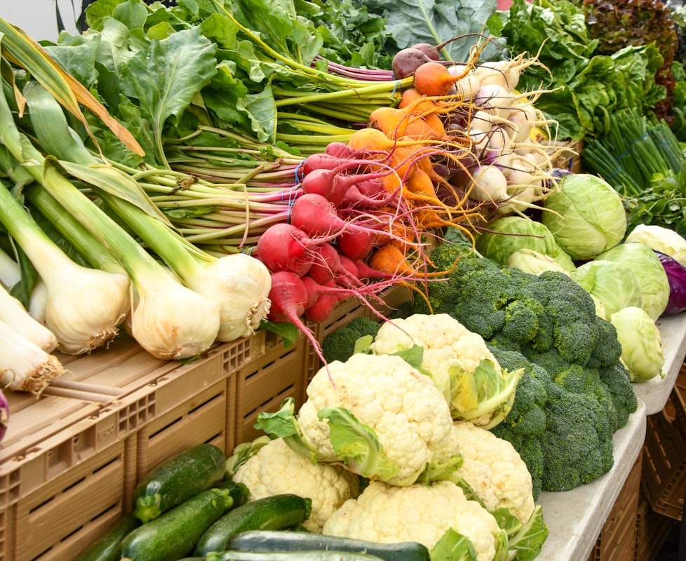 Principios de nutrición